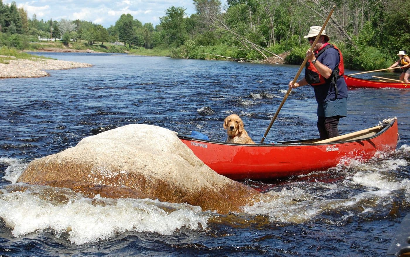 A lady and a dog sitting in a tent overlooking the water.