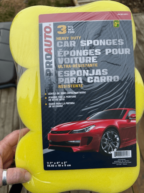 A photo of a sponge to turn into a "fish" for canoe games.