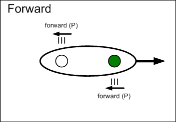 Forward stroke graphic.