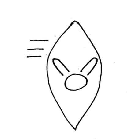 End the stroke at your knee graphic.