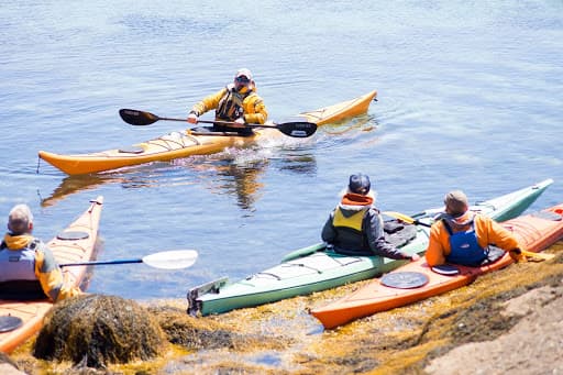 A lady and a dog sitting in a tent overlooking the water.
